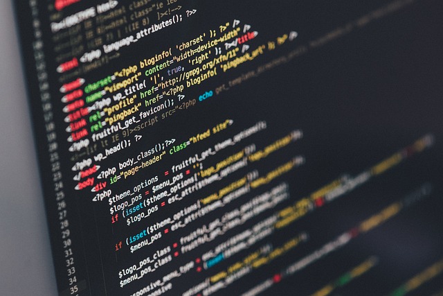 software dev